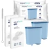 Philips/Saeco Espressomaschinen-Set - 2x AquaFloow Wasserfilter, Reiniger, 2x AquaFloow Reinigungstabletten
