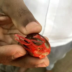 Macis Muskatblüte Gemahlen, BIO, 100g 9 Macis Muskatblüte Gemahlen, BIO, 100g -De’Longhi Verkaufsgeschäft 27612d91fd4dde3a639d0f64964ecebd